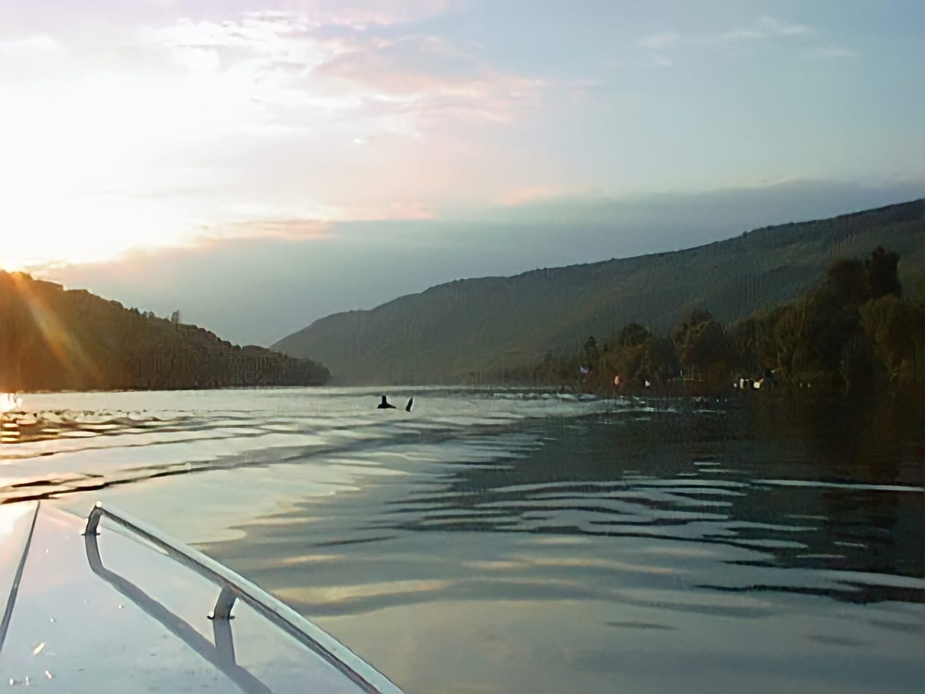 Blick vom Boot über die Mosel, 1999